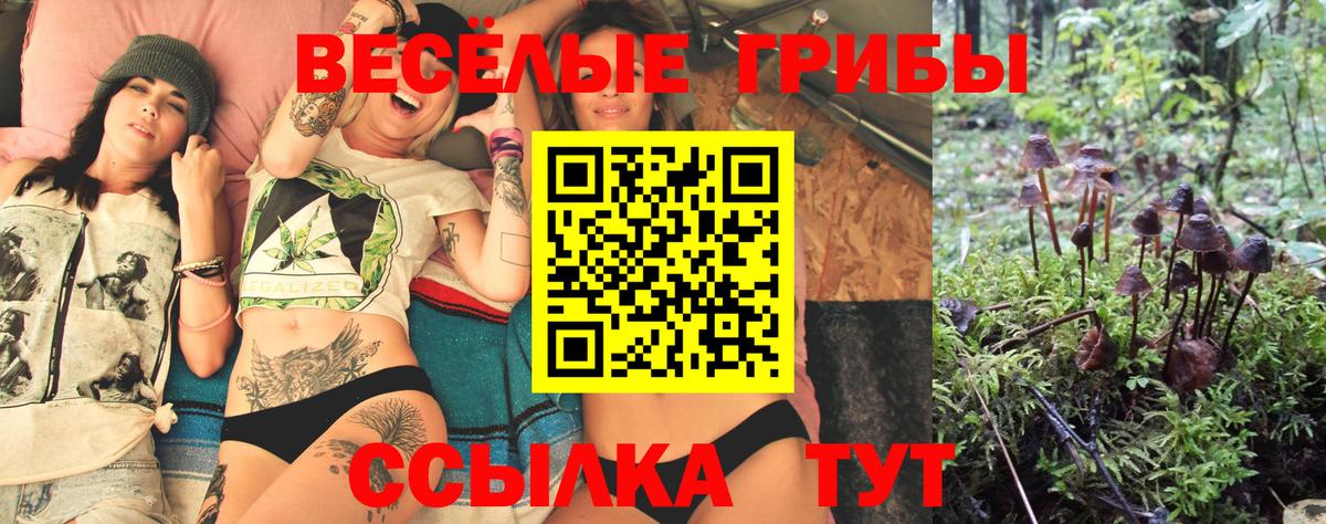 Галлюциногенные грибы мицелий  Вход с VPN  Новочебоксарск 