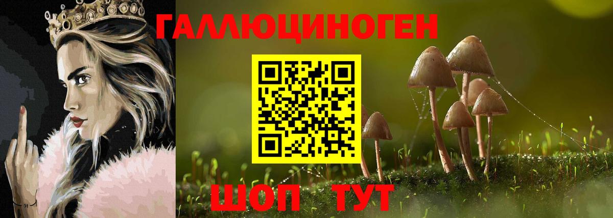 Галлюциногенные грибы Psilocybine cubensis Новочебоксарск